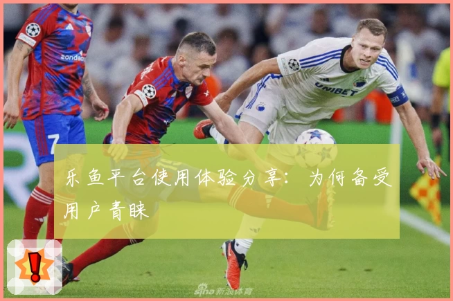 乐鱼平台使用体验分享：为何备受用户青睐