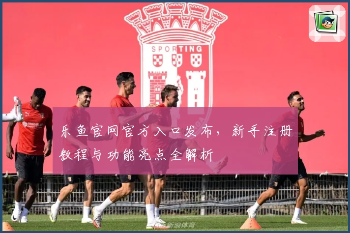 乐鱼官网官方入口发布，新手注册教程与功能亮点全解析