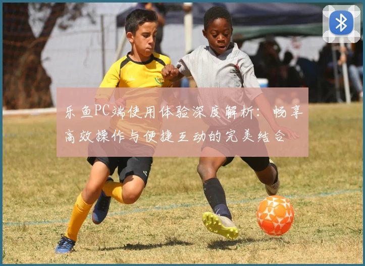 乐鱼PC端使用体验深度解析:畅享高效操作与便捷互动的完美结合